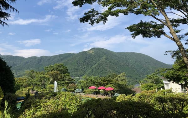 付费特别观赏席视野(图片)