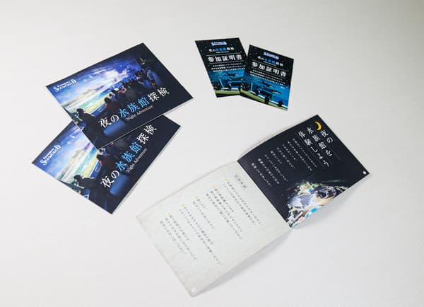 鴨川海洋世界夜間展區