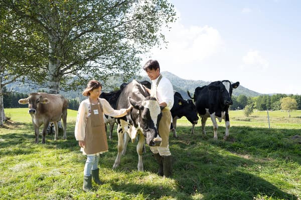 Interacción con vacas: aprender a través de los sentidos en la experiencia láctea