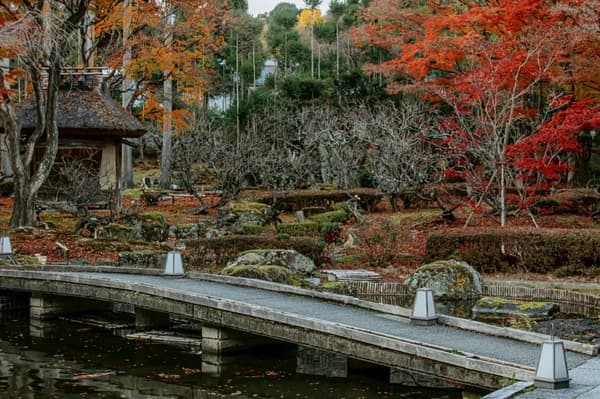 MOSS KOGEI Kyoto 2026