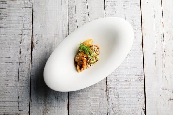 Takinogawa burdock and truffle risotto with conger eel beignet and sauce Périgueux