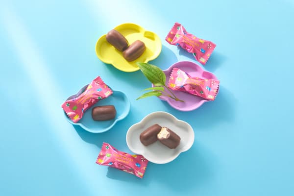 Koinobori Chocolate Cookie product