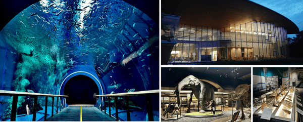 Night Museum Event Information