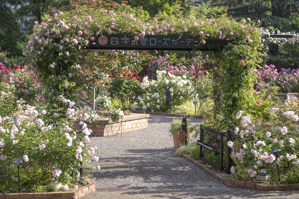 四季香蔷薇园大门