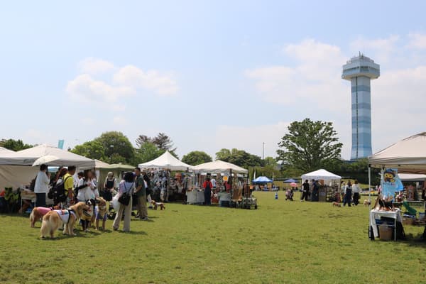 Escena del evento de mercado