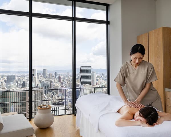 Image of the Pro Travel body treatment