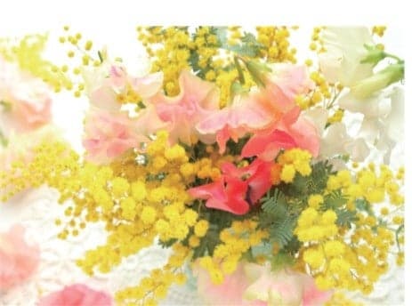 Spring flower garden