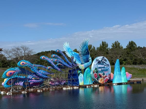 The giant peacock lantern glowing fantastically