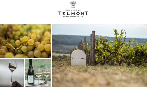 TELMONT RÉSERVE DE LA TERRE ROSÉ (ORGANIC) detail produk