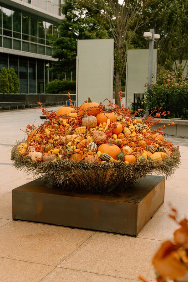 Flower installation