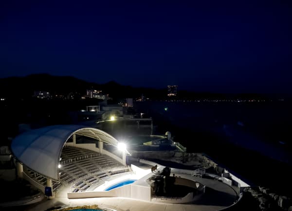 夜间水族馆观赏