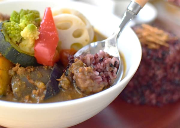 含有色彩繽紛蔬菜的藥膳湯咖哩