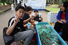 美食攤位