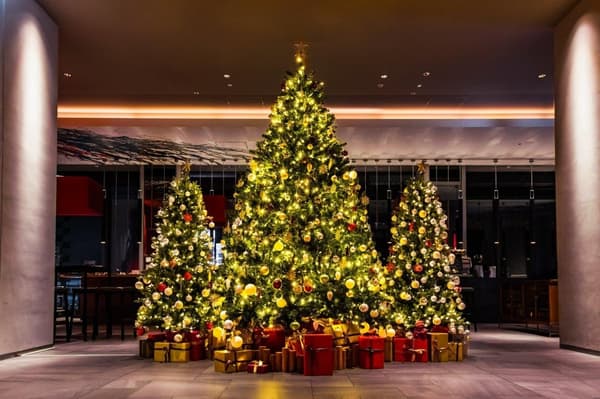 Christmas tree displayed until last year