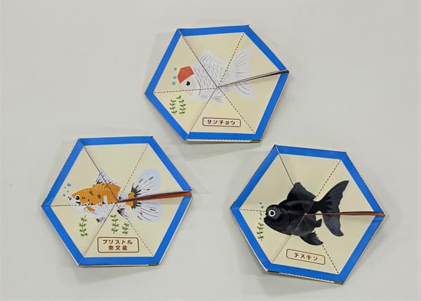 Perspective-changing goldfish craft at Sumida Aquarium