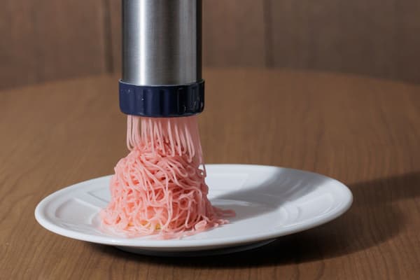 Mont Blanc Plate detail