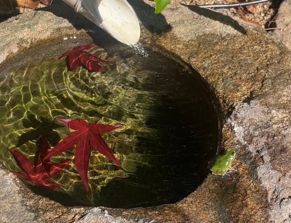 四季皆宜的蹲踞