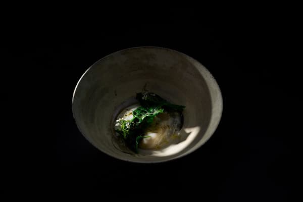 Pacific oyster dish