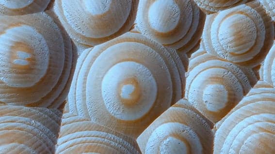 Baku Hashimoto, *Milling Stop-Motion (tentative title)*, 2024–, 2-channel video installation, collection of the artist (reference image)