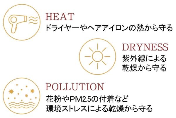 Three protective functions infographic
