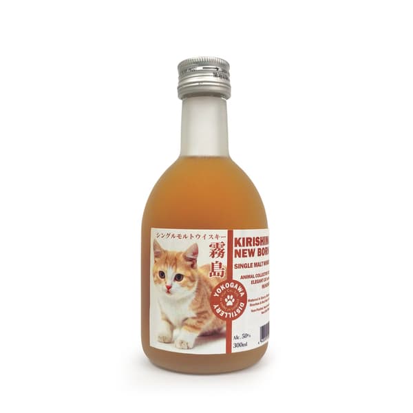 雾岛新生小曼赤肯