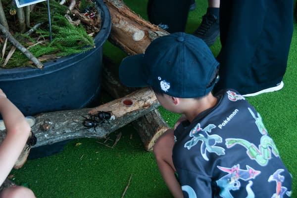 Beetle House event at Hitachi Seaside Park