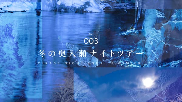 奧入瀨夜間遊覽