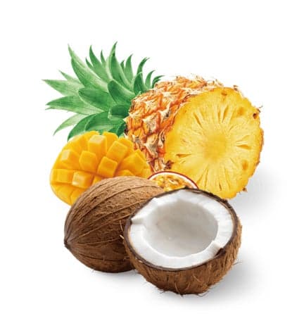 Tropical Rich & Coconut gelato mini cup