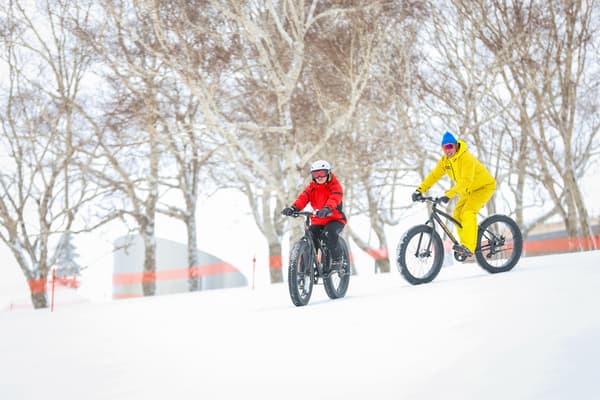 體驗在雪原上奔馳的樂趣！