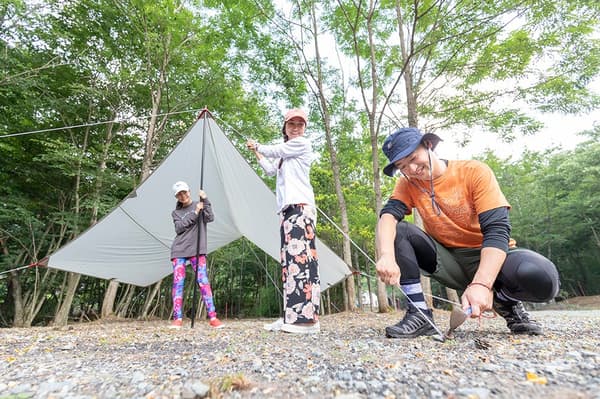 Verano en el camping