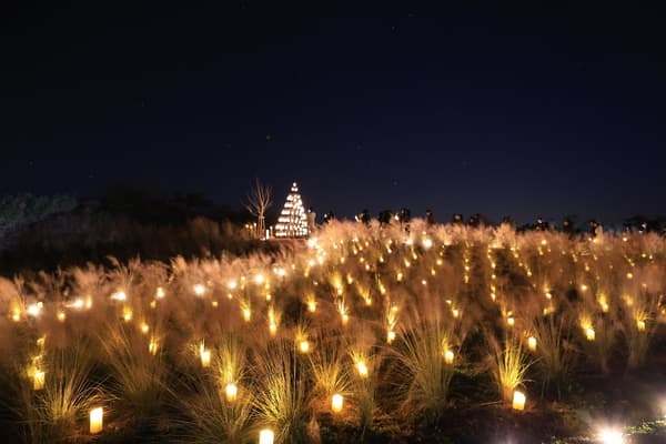 Sera Kogen Candle Night (2025)