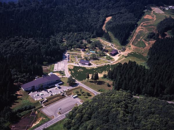 Overview of the tree-surrounded Haguro Mountain Campsite