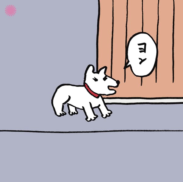 发出“Yon”声的狗