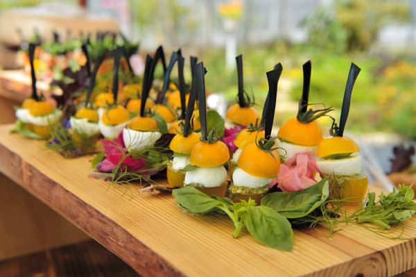 与农产品共度的开胃酒时光