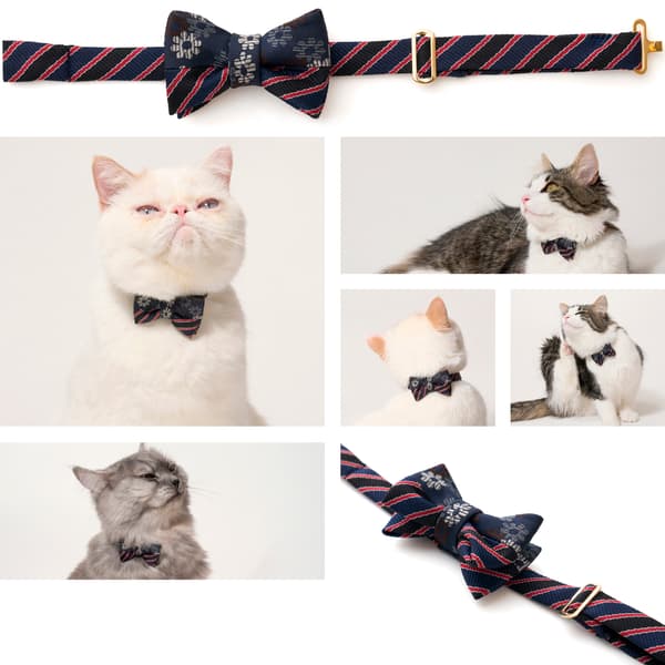 海军蓝光芒细节