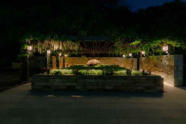 밤의 등나무 및 벚나무 수목장 구역