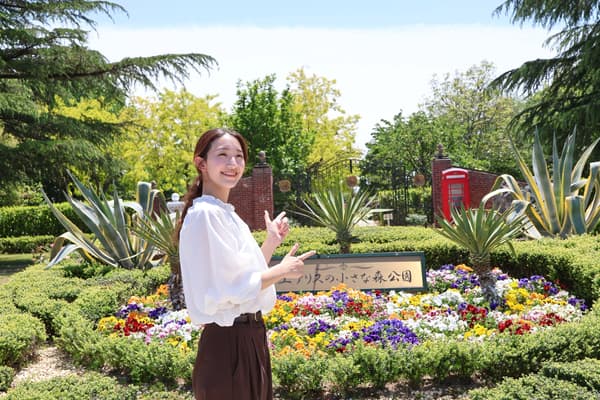 Aeris森林公園入口