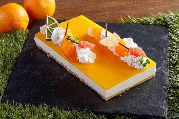 Rare cheesecake with Hokkaido cream cheese and a hint of citrus