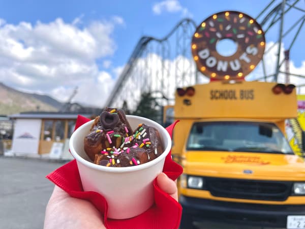 Natural Junkies的甜甜圈（四种口味之一）