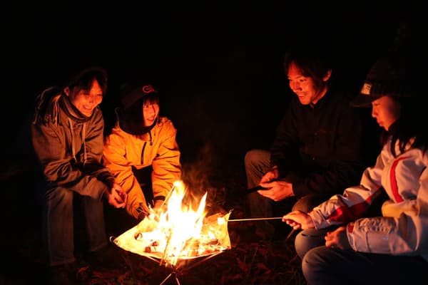 Roasting marshmallows by the campfire (image)