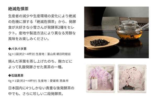 Teh fermentasi Koyuki no Furoshiki
