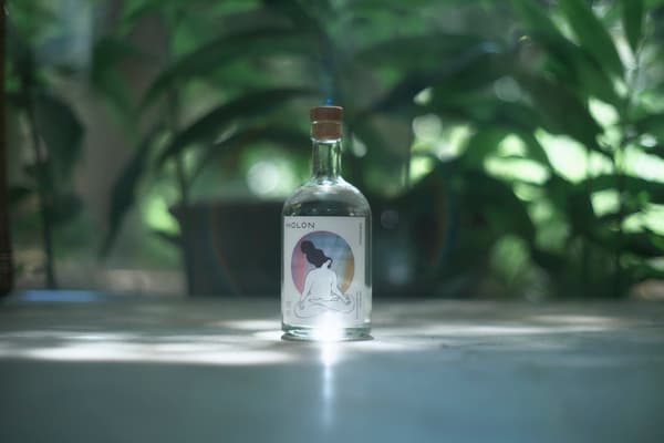 HOLON GIN ORIGINAL renewal