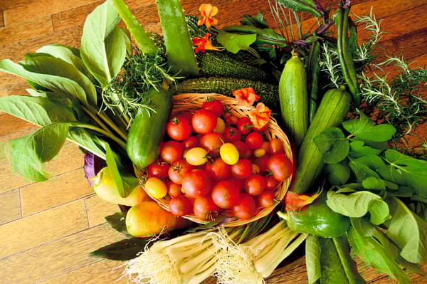来自农场新鲜蔬菜的丰富风味