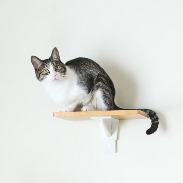 品牌概念可视化