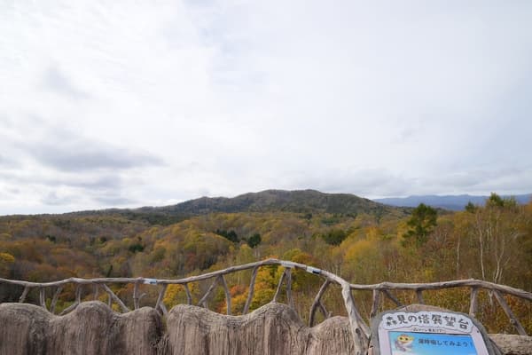 Vista desde la plataforma de observación de la Torre Morimi