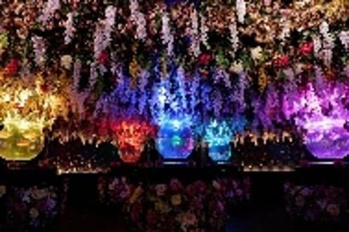 ART AQUARIUM