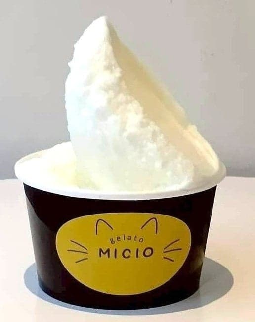 Shonan Chigasaki MILK