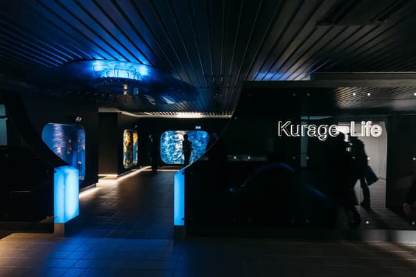 Exhibición interactiva de ecología de Jellyfish Life