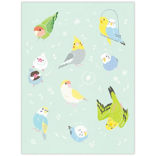 Ciao Letter Bird – 细节