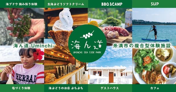 바다포도 수확 체험, 소프트 아이스크림, 바비큐 및 캠핑, SUP, 소금 만들기 체험 등 우민치의 다양한 시설과 활동들